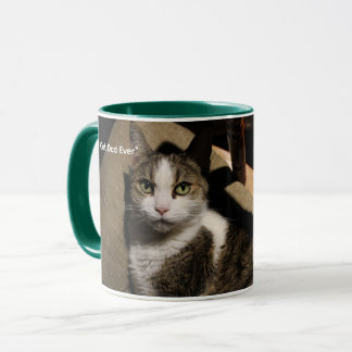 "Bester Katzenpapa Aller Zeiten – Dainty Doll Vate Tasse