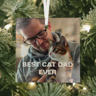 Bester Katzenvater überhaupt – modernes individuel Ornament Aus Glas