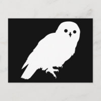 Bester Preis Weißer Barn Owl Grafik