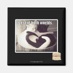 Bestes beider Welten Magnet