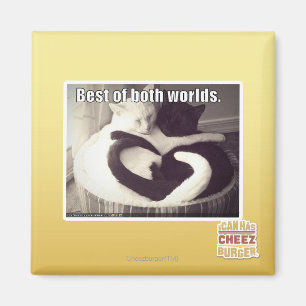 Bestes beider Welten Magnet