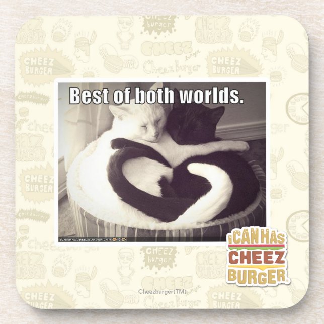 Bestes beider Welten Untersetzer (Vorderseite)
