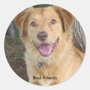 Bestes Friends2883 Runder Aufkleber