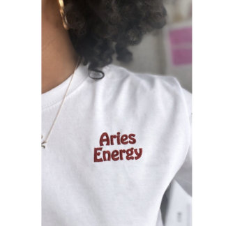 Besticktes ARIES-Astro-Shirt Geschenk T-Shirt
