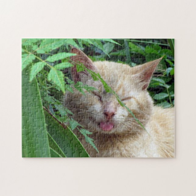 Bestie, die süßeste Stray Cat - Puzzle (Horizontal)