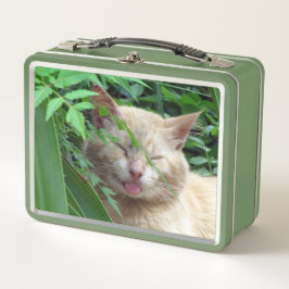 Bestie the Albern Stray Cat Metall Brotdose