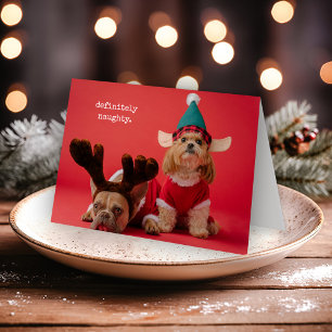 Bestimmt unartiges Haustier-Foto Süßes Weihnachten