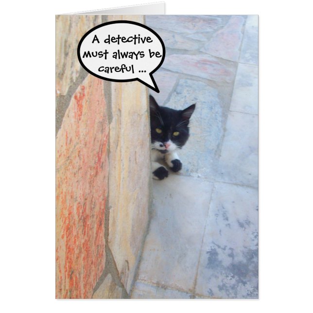 BESTIMMTE KATZE HINTER DER STEINWAND (Vorne)