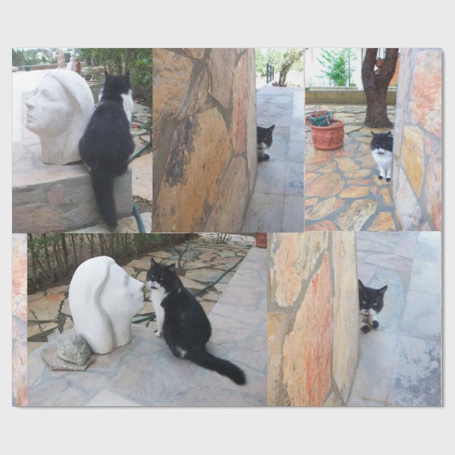 BESTIMMTE KATZE HINTER DER STEINWAND GESCHENKPAPIER (Flach)