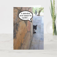 BESTIMMTE KATZE HINTER DER STEINWAND