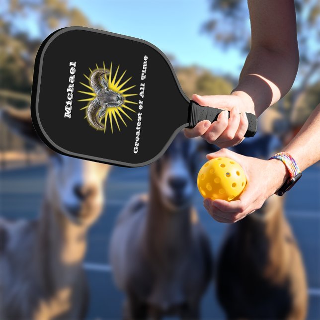 Bestste aller Zeiten Pickleball Schläger (Von Creator hochgeladen)