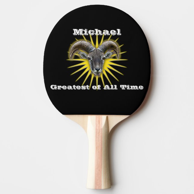 Bestste aller Zeiten Tischtennis Schläger (Vorderseite)