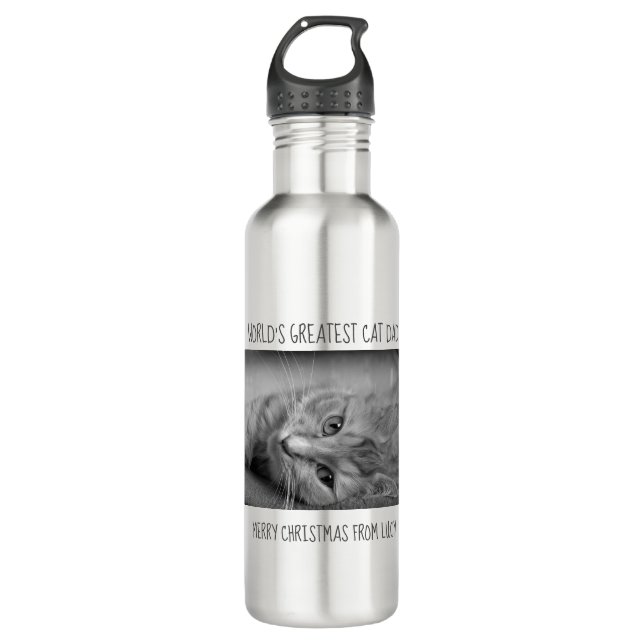 Bestster die Katzen-Vater der Welt - Edelstahlflasche (Vorderseite)
