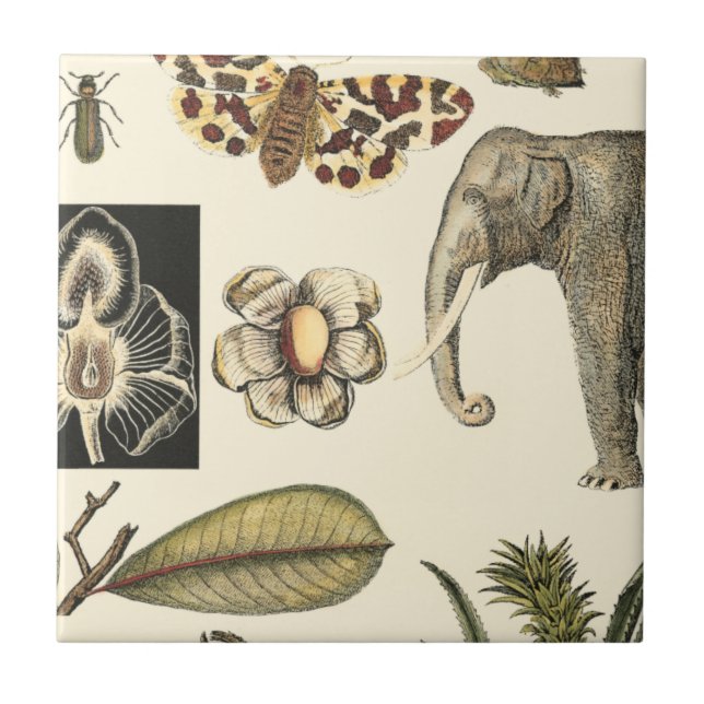 Bestückte Tiere auf Creme-Hintergrund gemalt Fliese (Vorderseite)