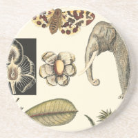 Bestückte Tiere auf Creme-Hintergrund gemalt