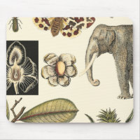 Bestückte Tiere auf Creme-Hintergrund gemalt