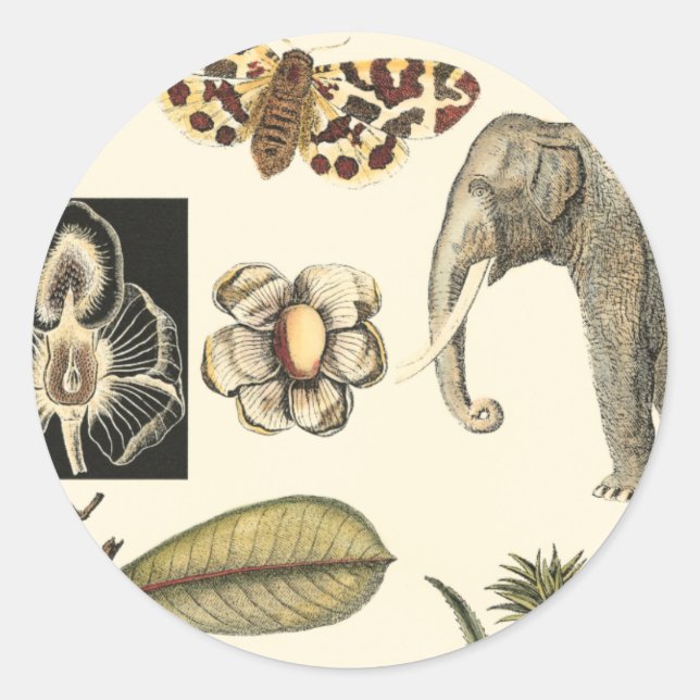 Bestückte Tiere auf Creme-Hintergrund gemalt Runder Aufkleber (Vorderseite)