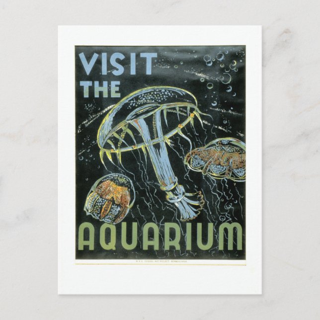 Besuchen Sie das Aquarium - WPA Poster - Postkarte (Vorderseite)