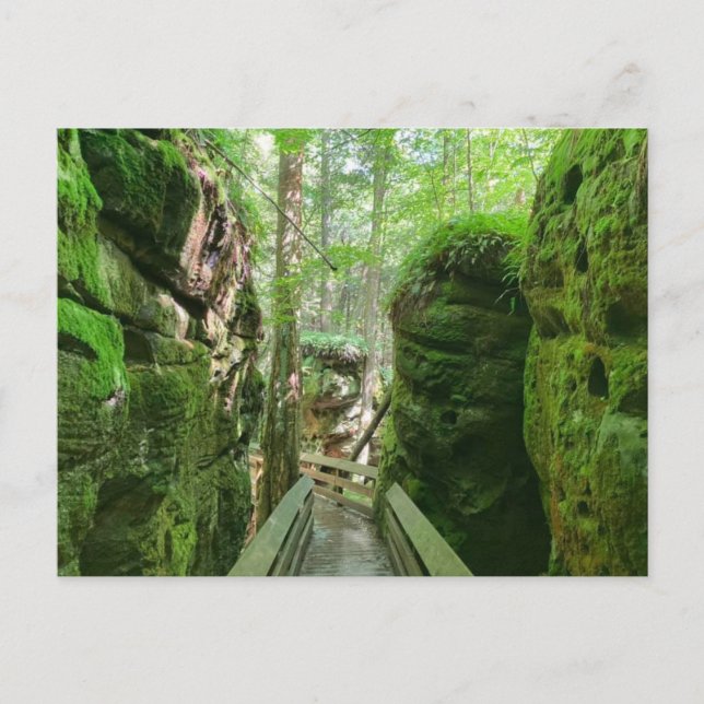 Besuchen Sie den WV-Beartown Staat Park Postkarte (Vorderseite)