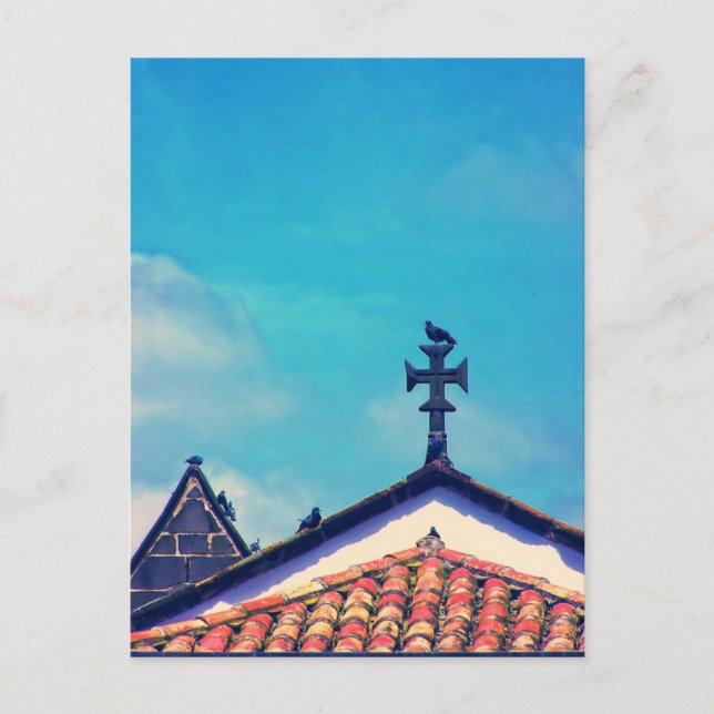 Besucher auf dem Dach: Funchal, Madeira (Portugal) Postkarte (Vorderseite)