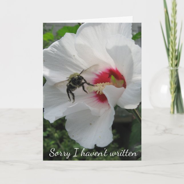 Besy Bee Card Karte (Vorderseite)