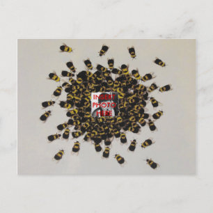 Besy Bee FOTO INSERT ~ Postcard Postkarte