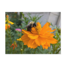 Besy Bee Postcard - von Cottagevale