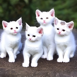 Besy Bee Throw Blanket Decke