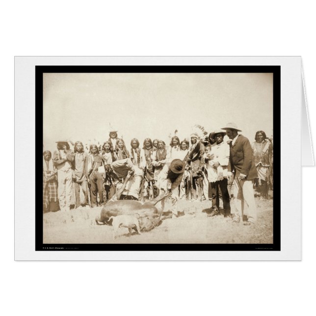 Bétail à Pine Ridge Réservation SD 1887 (Devant horizontal)