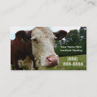 Bétail longs-courriers troquant le carte de visite