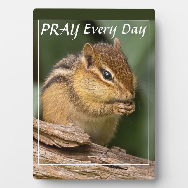 Bete jeden Tag Chipmunk Fotoplatte (Vorderseite)
