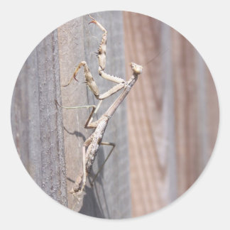 Beten der Mantis-Aufkleber Runder Aufkleber