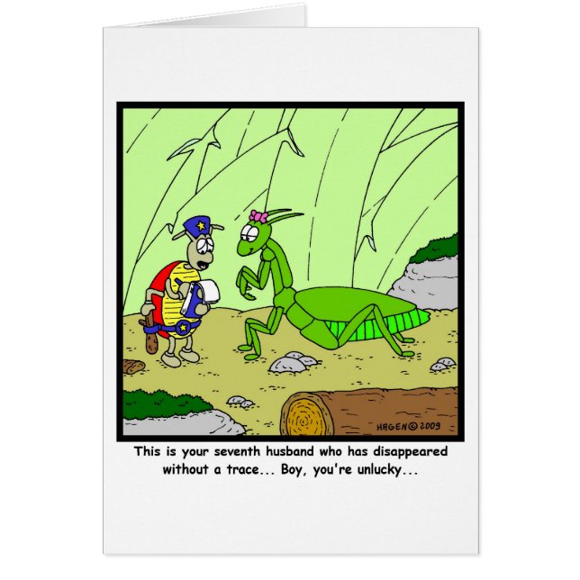 Betender Mantis (Vorne)