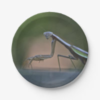 Betender Mantis-Pappteller