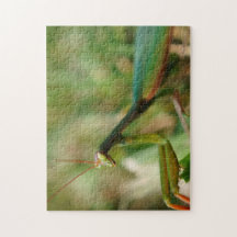 Betender Mantis, Puzzlespiel des Foto-11x14 mit