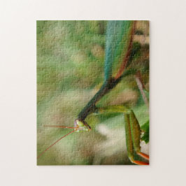 Betender Mantis, Puzzlespiel des Foto-11x14 mit