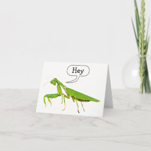 Betender Mantis sagt he Notecard Karte