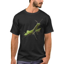 betender Mantis