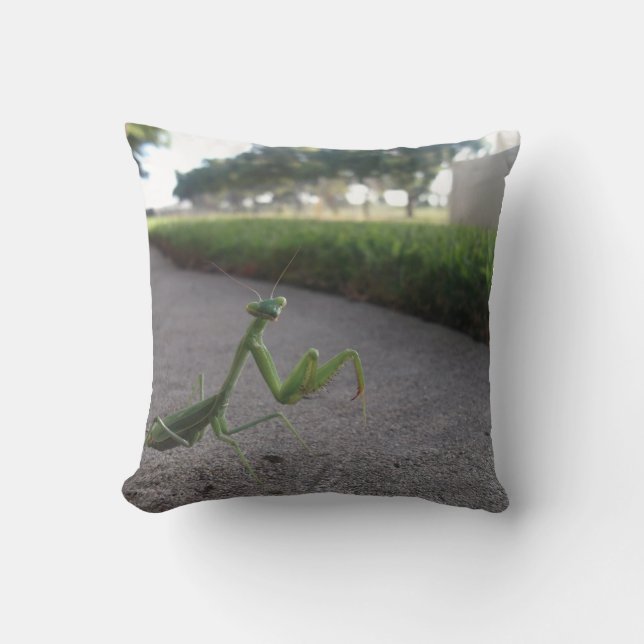 Betender Mantis-Wurfs-Kissen Kissen (Vorderseite)