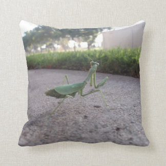 Betender Mantis-Wurfs-Kissen Kissen