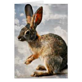 Betendes Häschen in den Himmeln