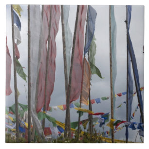 Betenflaggenmasten im Gebirge, Yotongla-Pass Fliese