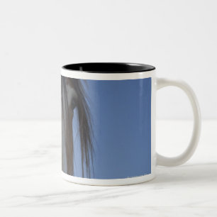 Betrachten der Kamera Zweifarbige Tasse