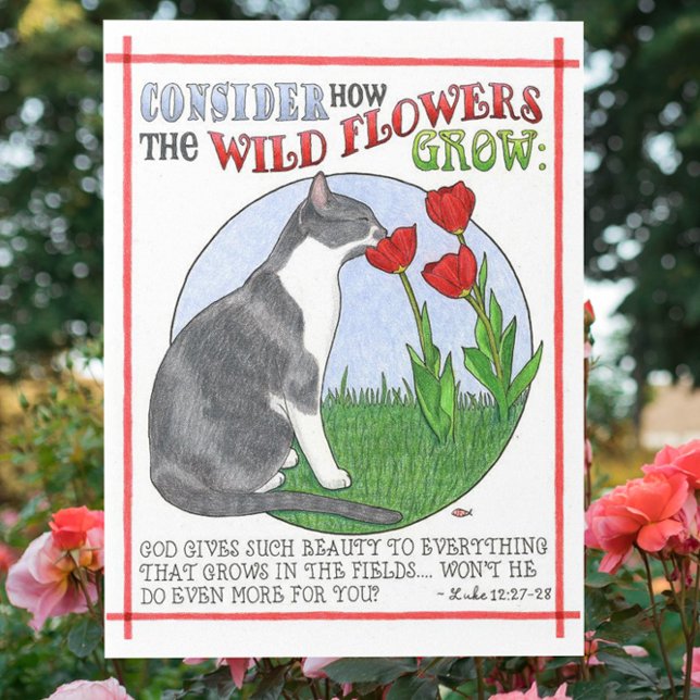 Betrachten Sie die Blume Inspiration Postcard Postkarte (Von Creator hochgeladen)