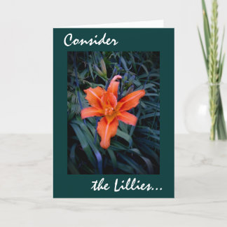 Betrachten Sie die Karte der Lilienen-22