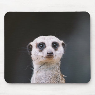 Betrachten Sie mich? Meerkat Mousepad