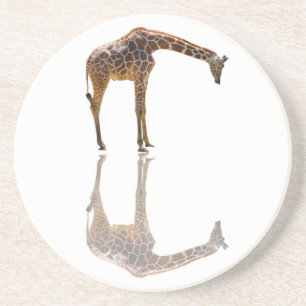 BETRACHTUNG UNTERSETZER