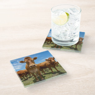 Betriebe   Brown Cow Group Glasuntersetzer