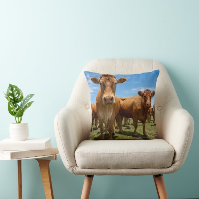 Betriebe | Brown Cow Group Kissen (Stuhl )