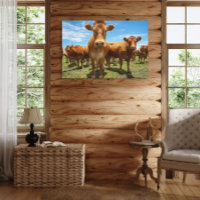 Betriebe | Brown Cow Group